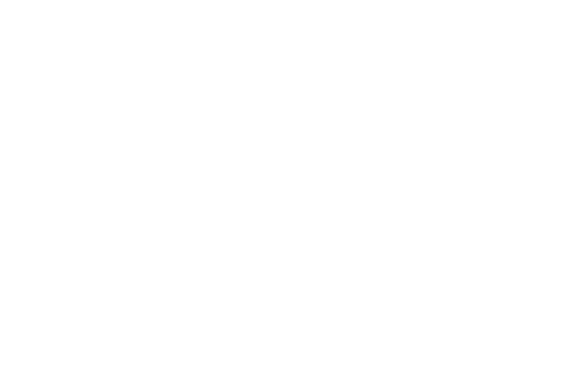 9Lives
